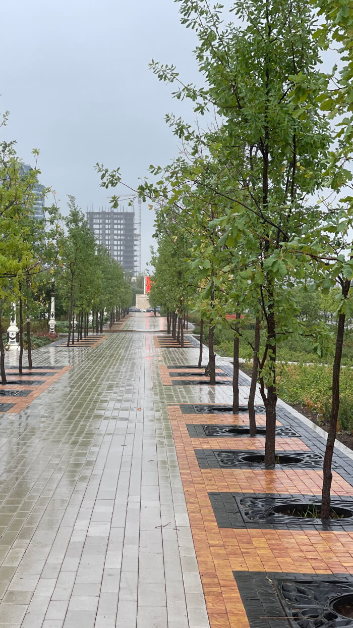 Приствольная решетка для дерева ZKING CRUST 1.2х1.2м Черная в Северске фото