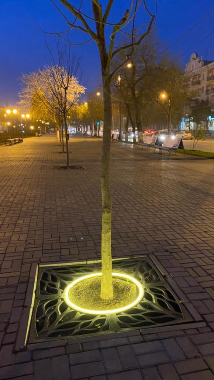 Приствольная решетка для дерева ZKING CRUST 1.2х1.2м Черная в Северске фото